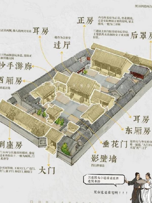 穿越四合院世界，众禽兽遭殃