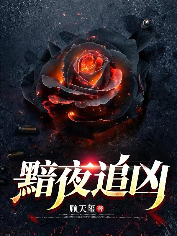 黯夜追凶