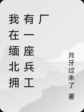 我在缅北拥有一座兵工厂